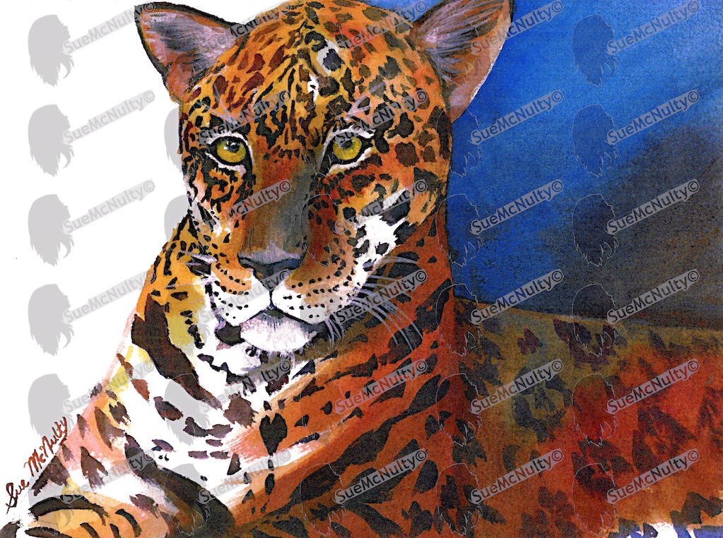 Jaguar web