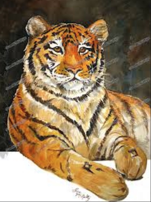 Tiger web